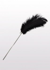 Feather Tickler