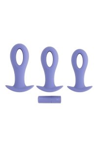 Evolved Hole Punch Plug Set - zestaw korków analnych (fioletowy)