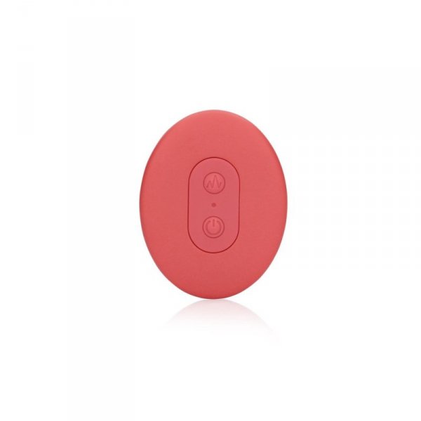 Panty Vibrator with Remote Control