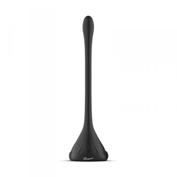 Teazers Triple Prostate Vibrator with Remote
