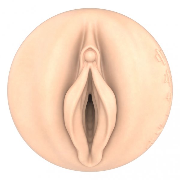 Fleshlight - Fantasy Sasha Nakamoto Ecchi Beige - masturbator pochwa (cielisty)