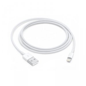 Apple Lightning to USB Cable (1m)