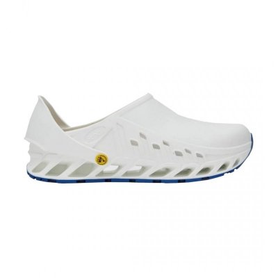 Buty Evoflex marki Scholl
