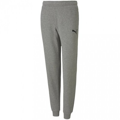 Spodnie dla dzieci Puma teamGOAL 23 Casuals Pants Jr szare 656713 33 152