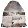 Dziewczęcy Tornister do Szkoły dla Uczniów z Koniami Horse [PP22HR-524]
