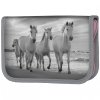 Tornister dla Dziecka do 1 klasy w Zestawie 5w1 Paso [PP21HO-525]
