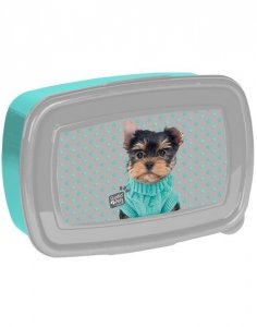 Śniadaniówka York Pies Piesek dla Dziewczynki Paso