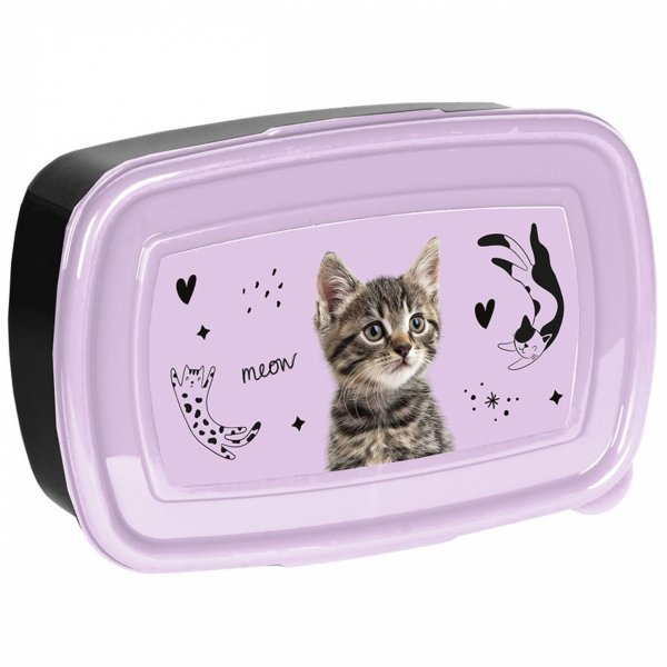 TORNISTER KOT DZIEWCZĘCY SZKOLNY Z KOTKIEM DO 1 KLASY KOTEK KOMPLET 5w1