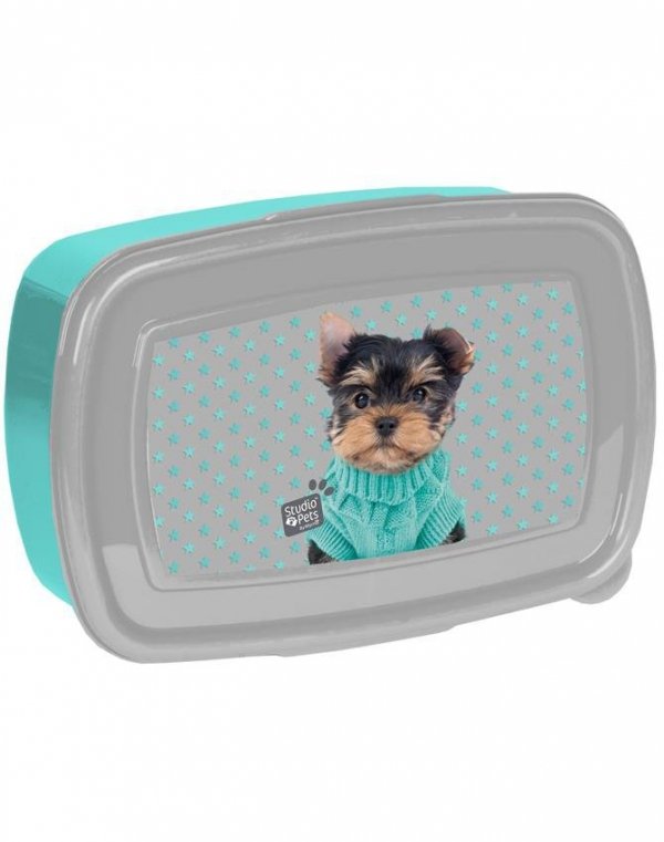 Śniadaniówka York Pies Piesek dla Dziewczynki Paso