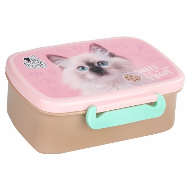 TORNISTER SZKOLNY KOTEK DERFORM ZESTAW 5w1 DLA DZIEWCZYNEK Z KOTKAMI CATS