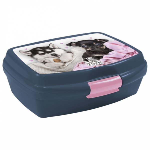 Atrakcyjny Zestaw Plecak do podstawówki Szkolny do klas 1-4 [PL15BCF40]