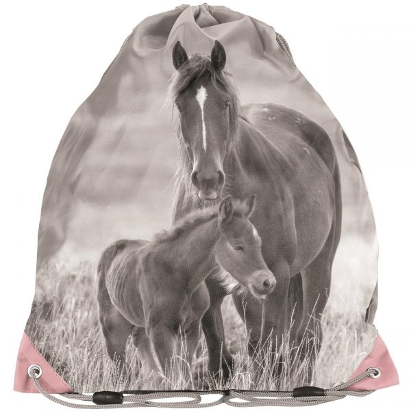 Szkolny Plecak Dziewczęcy Koń Konie Komplet Paso [PP20KO-260]