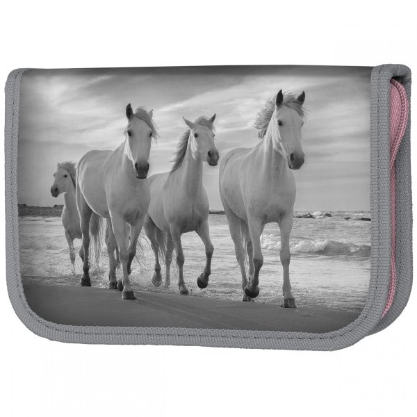 Tornister dla Dziecka do 1 klasy w Zestawie 5w1 Paso [PP21HO-525]