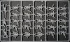 Italeri Model plastikowy German Infantry
