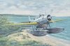 Trumpeter Model plastikowy TBD-1A Devastator 1/32