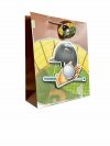 Torebka ozdobna prezentowa 4wz 30x41,5x12cm JP 623A chłopięca sport mix cena za 1 szt