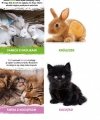 Książeczka Milusińscy W domu MOREX