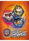 Zeszyt A5 16k kratka laminowany Psi Patrol PAW PATROL p15 mix cena za 1szt