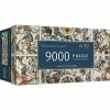 Puzzle Prime 9000 el. Ancient Celestial Maps 81031 Trefl