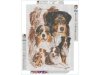 Haft Diamentowy, Obraz, Mozaika Diamentowa Diamond Painting, PIES - OWCZAREK AUSTRALIJSKI 30x40cm - DK