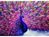 Haft Diamentowy, Obraz, Mozaika Diamentowa Diamond Painting, KOLOROWY PAW 40x30cm - DK