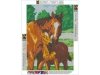 Haft Diamentowy, Obraz, Mozaika Diamentowa Diamond Painting, UROCZY ŹREBAK 30x40cm - DK