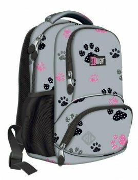 PROMO Plecak 1-komorowy STRIGHT BP-71 Paws