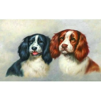 PROMO Diamentowa mozaika Psy portret 30x40cm 1005265