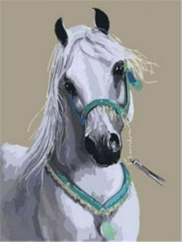 PROMO Malowanie po numerach Koń biały arab 40x50cm 5577