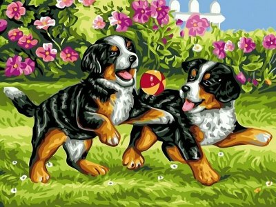 PROMO Malowanie po numerach Zabawa szczeniaków 40x50cm 1006973