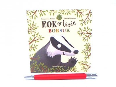 NASZA KSIĘGARNIA Rok w lesie Borsuk 36381