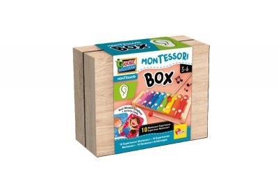 DANTE Lisciani Montessori box Słuch 105489 05489