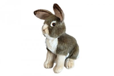 DUBI PLUSZ Zając szary 30cm 30429
