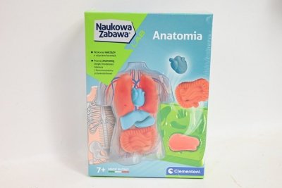 CLEMENTONI - ZABAWKI CLE Naukowa zabawa Anatomia 50252