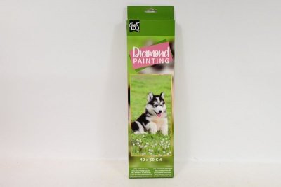 CCG - MZ IMPORT CCG diamentowa mozaika Pies 40x50 CR2099 11384