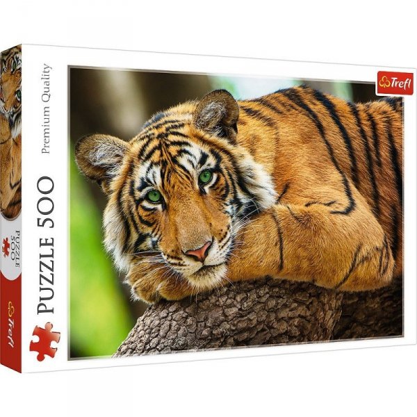 Trefl Puzzle 500 elementów Portret tygrysa