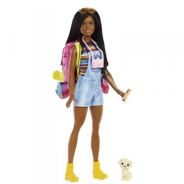 Mattel Lalka Barbie Kemping Barbie Brooklyn + akcesoria