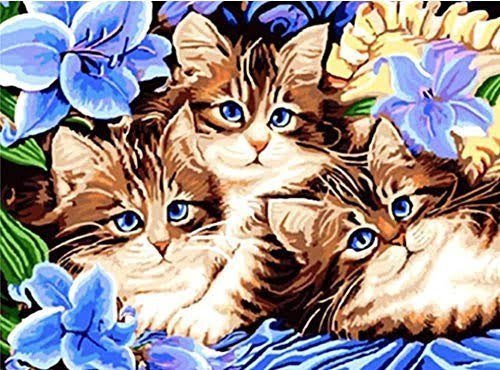 Norimpex Diamentowa mozaika - Trzy kotki
