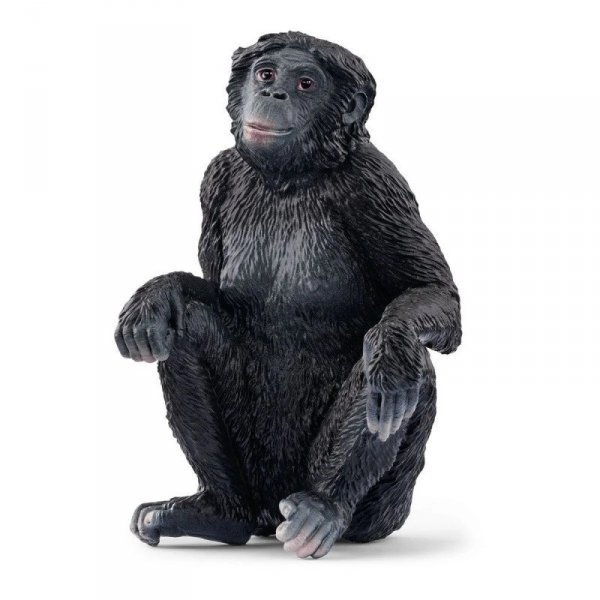 Schleich Figurka samica szympansa karłowatego
