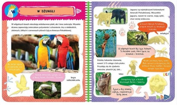 Książka Album z naklejkami. Egzotyczne zwierzęta. Ciekawostki dla dzieci