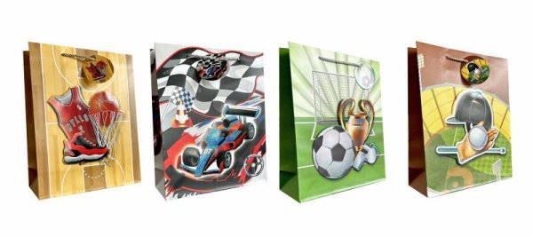Torebka ozdobna prezentowa 4wz 18x23x10cm JP 623C chopięca sport mix cena za 1 szt