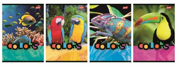 Zeszyt A5 32k linia okładka laminowana Exotic Colors p15, mix cena za 1 szt