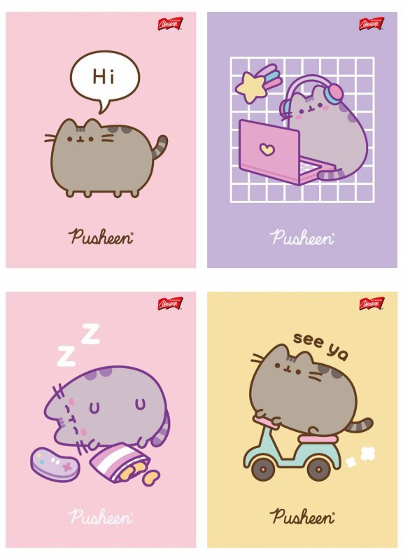 Zeszyt A5 60k kratka laminowany Pusheen mix cena za 1 szt