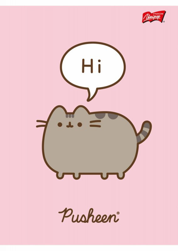 Zeszyt A5 60k kratka laminowany Pusheen mix cena za 1 szt