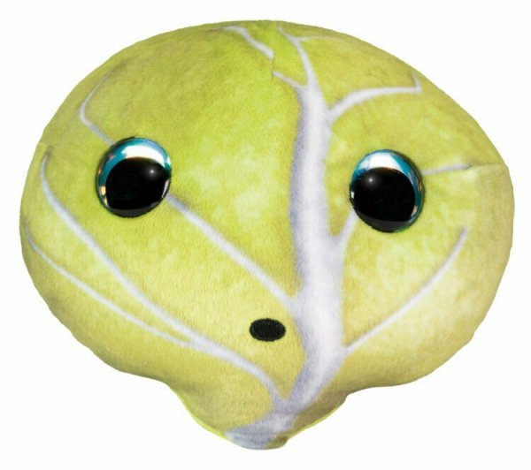 PROMO Maskotka Lumo Stars Veggies and Berris Kapusta Teikku TACTIC