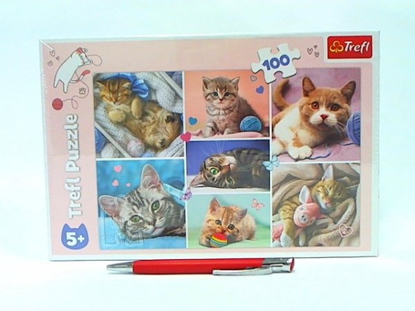TREFL PUZZLE 100 W kocim świecie 16420