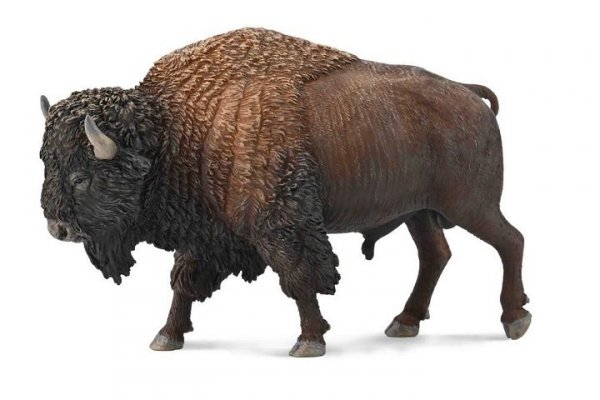COLLECTA - DANTE Collecta bizon amerykański 88968 89689