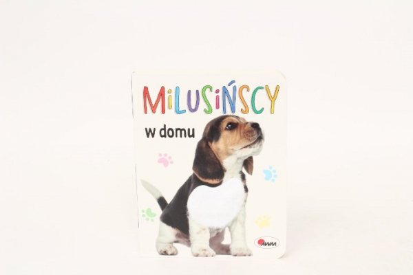 MOREX Milusińscy w domu 58.11.1 12979