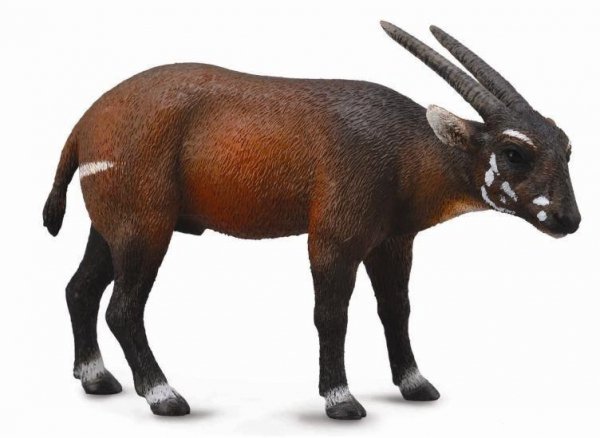 COLLECTA - DANTE Collecta kozica saola 88640 86404