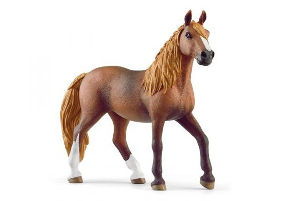 SCHLEICH SLH klacz rasy Paso Peruano 13953 63979